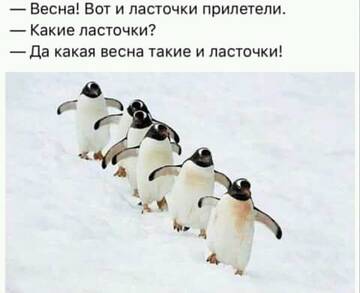 https://upforme.ru/uploads/001a/b7/49/360/t74183.jpg