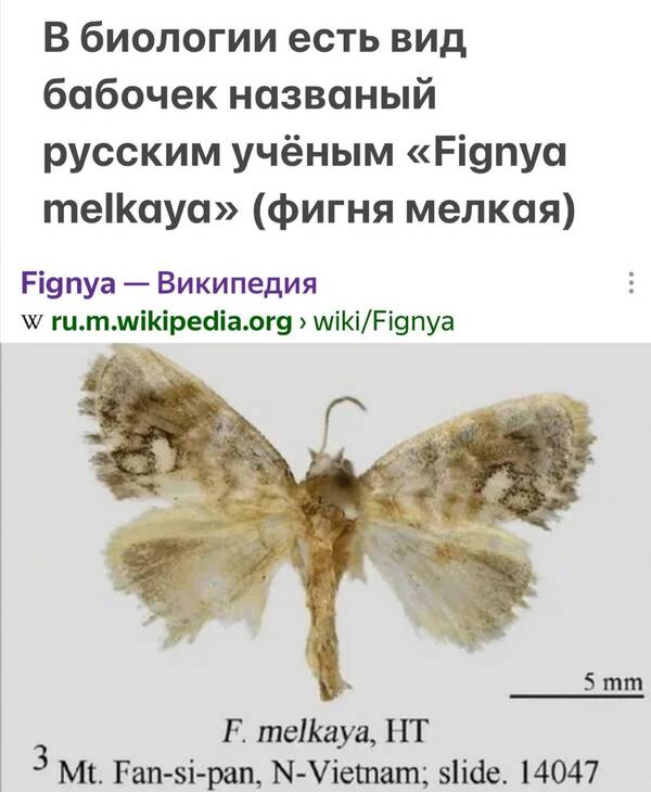 https://upforme.ru/uploads/001a/b7/49/4/t160161.jpg