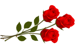 https://upforme.ru/uploads/001a/b7/49/4/t192907.png