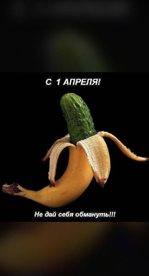 https://upforme.ru/uploads/001a/b7/49/4/t240734.jpg