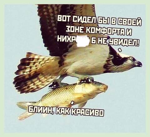 https://upforme.ru/uploads/001a/b7/49/426/t349834.jpg
