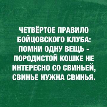 https://upforme.ru/uploads/001a/b7/49/483/t204989.jpg