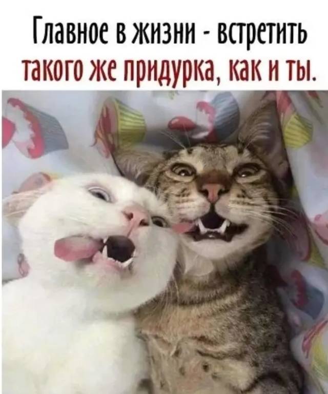 https://upforme.ru/uploads/001a/b7/49/5/232147.jpg