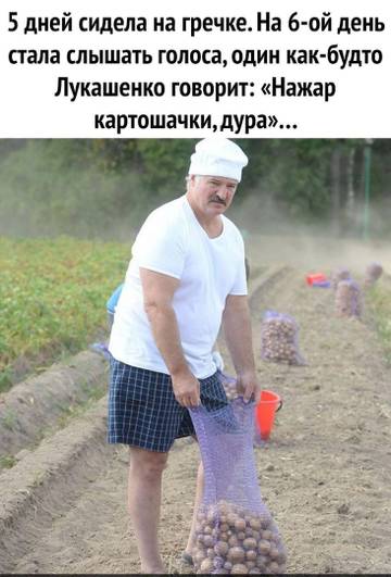 https://upforme.ru/uploads/001a/b7/49/5/t172013.jpg