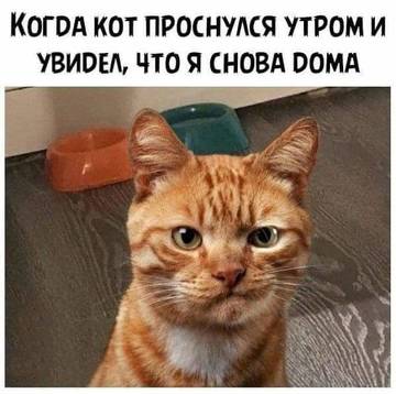 https://upforme.ru/uploads/001a/b7/49/5/t307476.jpg
