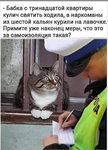 https://upforme.ru/uploads/001a/b7/49/5/t395049.jpg