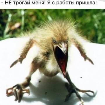 https://upforme.ru/uploads/001a/b7/49/5/t417950.jpg