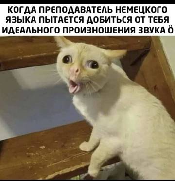 https://upforme.ru/uploads/001a/b7/49/5/t725470.jpg
