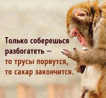 https://upforme.ru/uploads/001a/b7/49/5/t728147.jpg