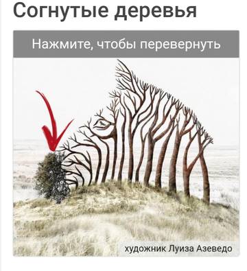 https://upforme.ru/uploads/001a/b7/49/5/t881706.jpg