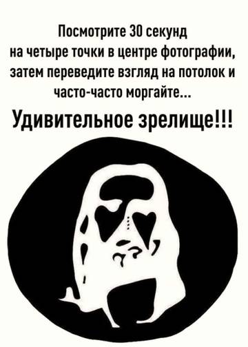 https://upforme.ru/uploads/001a/b7/49/5/t978305.jpg