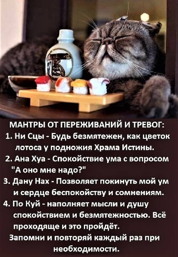 https://upforme.ru/uploads/001a/b7/49/565/t147959.jpg