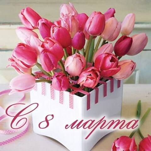 https://upforme.ru/uploads/001a/b7/49/565/t183607.jpg