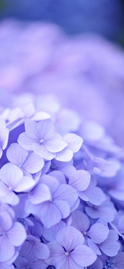 https://upforme.ru/uploads/001a/b7/49/565/t273153.jpg