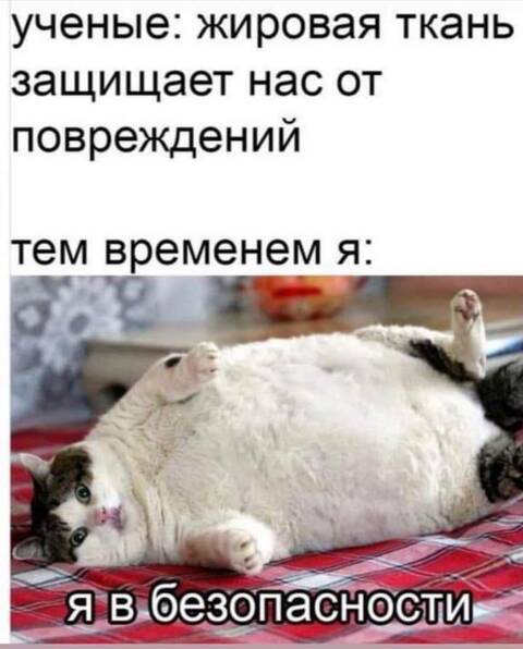 https://upforme.ru/uploads/001a/b7/49/565/t30060.jpg