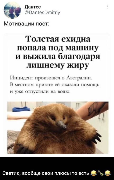 https://upforme.ru/uploads/001a/b7/49/565/t301708.jpg