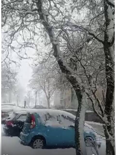https://upforme.ru/uploads/001a/b7/49/565/t323133.jpg