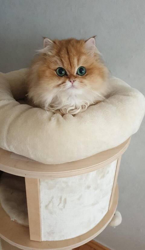 https://upforme.ru/uploads/001a/b7/49/565/t388282.jpg