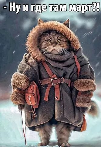 https://upforme.ru/uploads/001a/b7/49/565/t393085.jpg