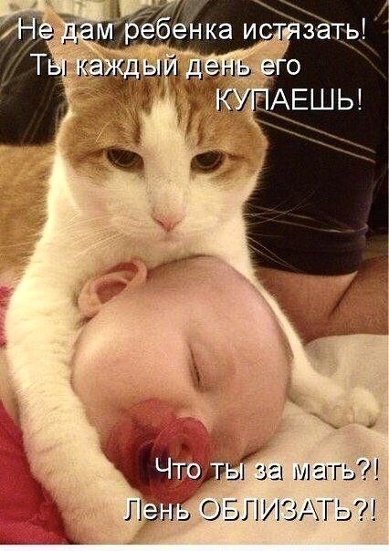 https://upforme.ru/uploads/001a/b7/49/565/t403201.jpg