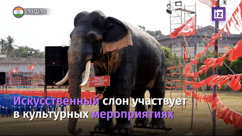 https://upforme.ru/uploads/001a/b7/49/565/t522721.jpg