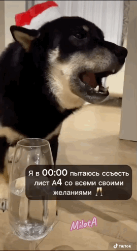 https://upforme.ru/uploads/001a/b7/49/565/t610154.gif