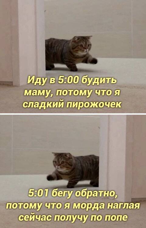 https://upforme.ru/uploads/001a/b7/49/565/t675449.jpg