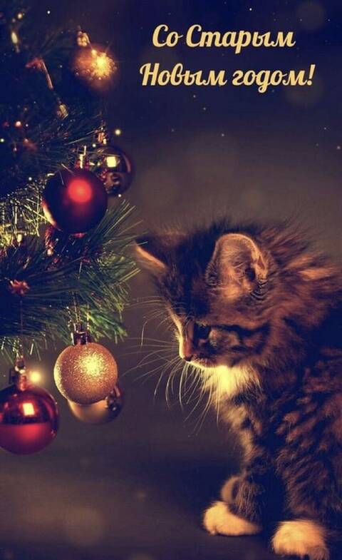 https://upforme.ru/uploads/001a/b7/49/565/t70035.jpg