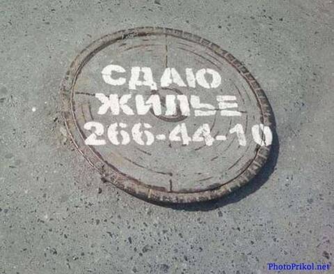 https://upforme.ru/uploads/001a/b7/49/565/t720181.jpg