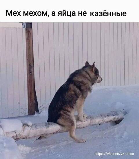 https://upforme.ru/uploads/001a/b7/49/565/t824118.jpg