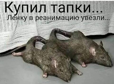 https://upforme.ru/uploads/001a/b7/49/565/t838148.jpg