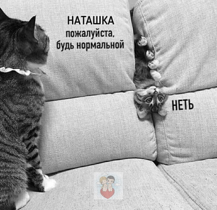 https://upforme.ru/uploads/001a/b7/49/6/980537.jpg