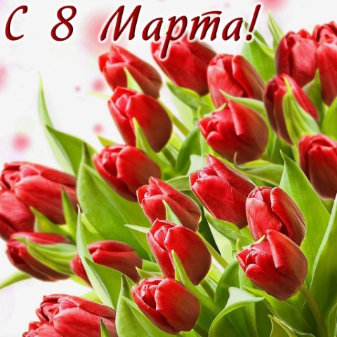 https://upforme.ru/uploads/001a/b7/49/655/245641.jpg