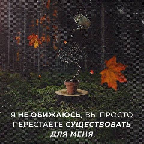https://upforme.ru/uploads/001a/b7/49/68/t711245.jpg