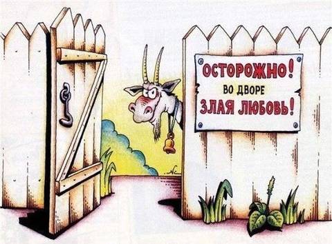https://upforme.ru/uploads/001a/b7/49/7/t163204.jpg