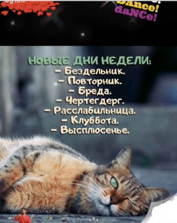 https://upforme.ru/uploads/001a/b7/49/7/t17262.jpg