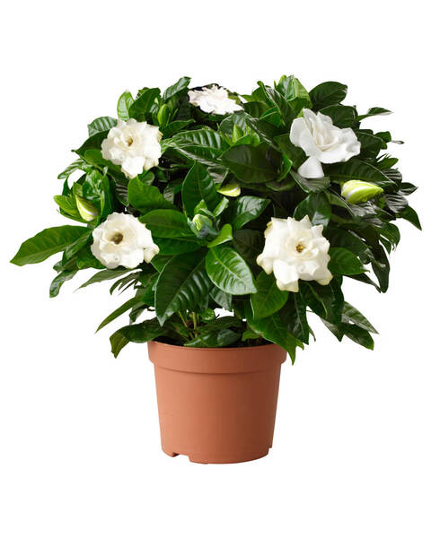 https://upforme.ru/uploads/001a/b7/49/7/t50361.jpg