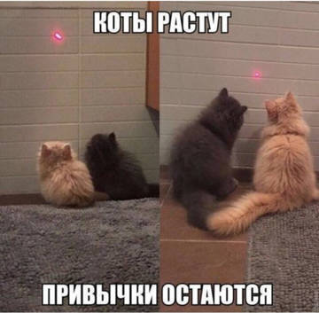https://upforme.ru/uploads/001a/b7/49/7/t721445.jpg