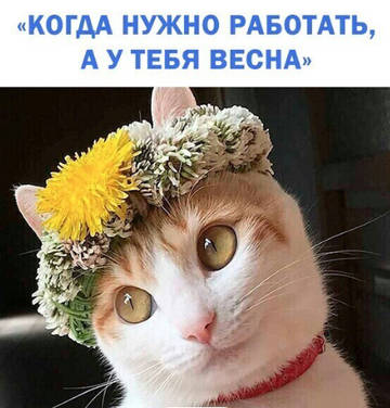 https://upforme.ru/uploads/001a/b7/49/7/t836554.jpg