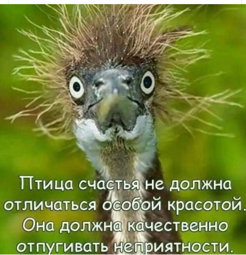 https://upforme.ru/uploads/001a/b7/49/71/t891668.jpg