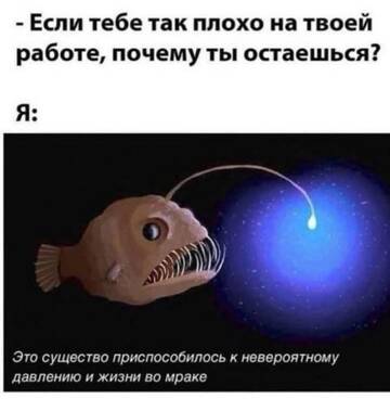 https://upforme.ru/uploads/001a/b7/49/717/t994495.jpg