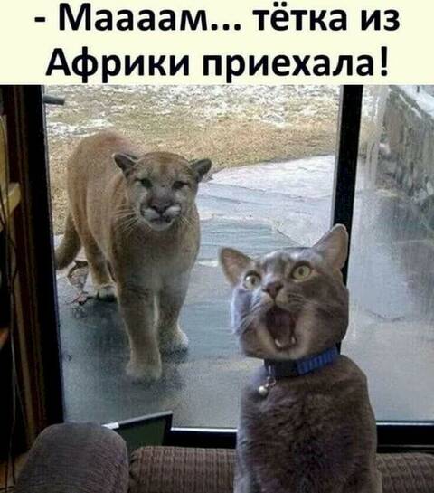 https://upforme.ru/uploads/001a/b7/49/73/t101078.jpg