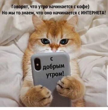 https://upforme.ru/uploads/001a/b7/49/73/t402118.jpg