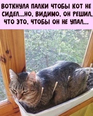 https://upforme.ru/uploads/001a/b7/49/73/t445016.jpg