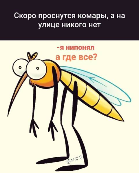 https://upforme.ru/uploads/001a/b7/49/73/t756181.jpg