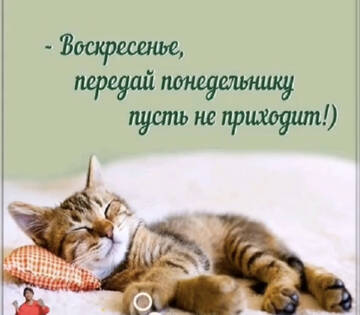https://upforme.ru/uploads/001a/b7/49/75/t111378.jpg