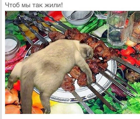 https://upforme.ru/uploads/001a/b7/49/75/t745518.jpg
