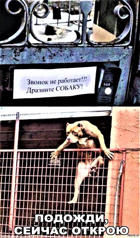 https://upforme.ru/uploads/001a/b7/49/76/t709490.jpg