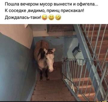https://upforme.ru/uploads/001a/b7/49/76/t933303.jpg