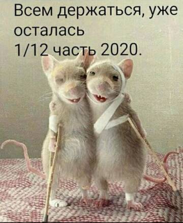 https://upforme.ru/uploads/001a/b7/49/77/t37839.jpg